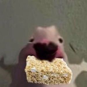 Meet your Posher, Violet